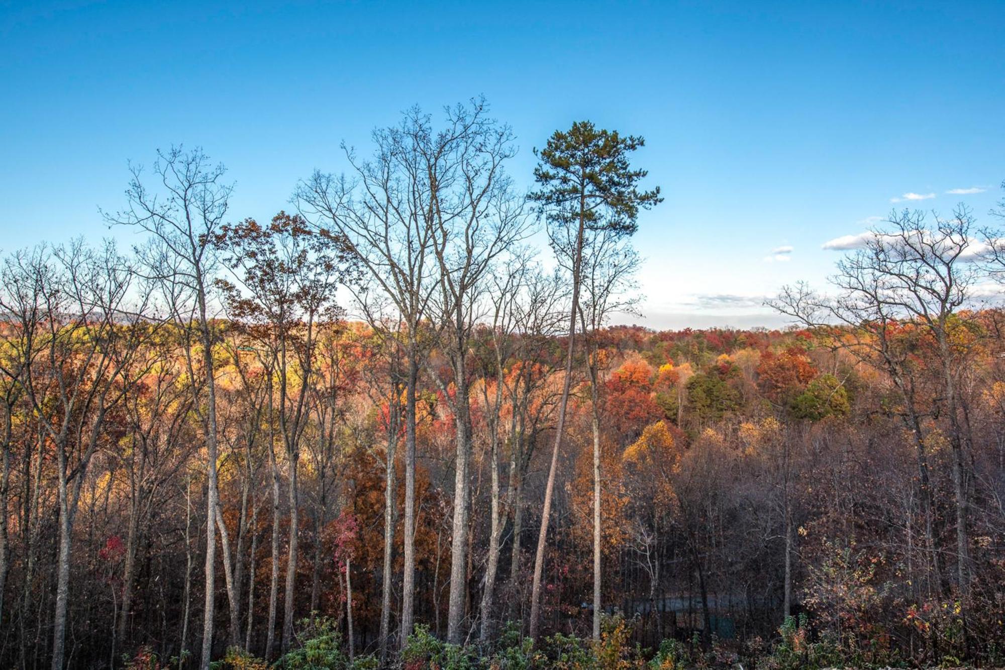 Vila The Treetop Sanctuary Sevierville Exteriér fotografie